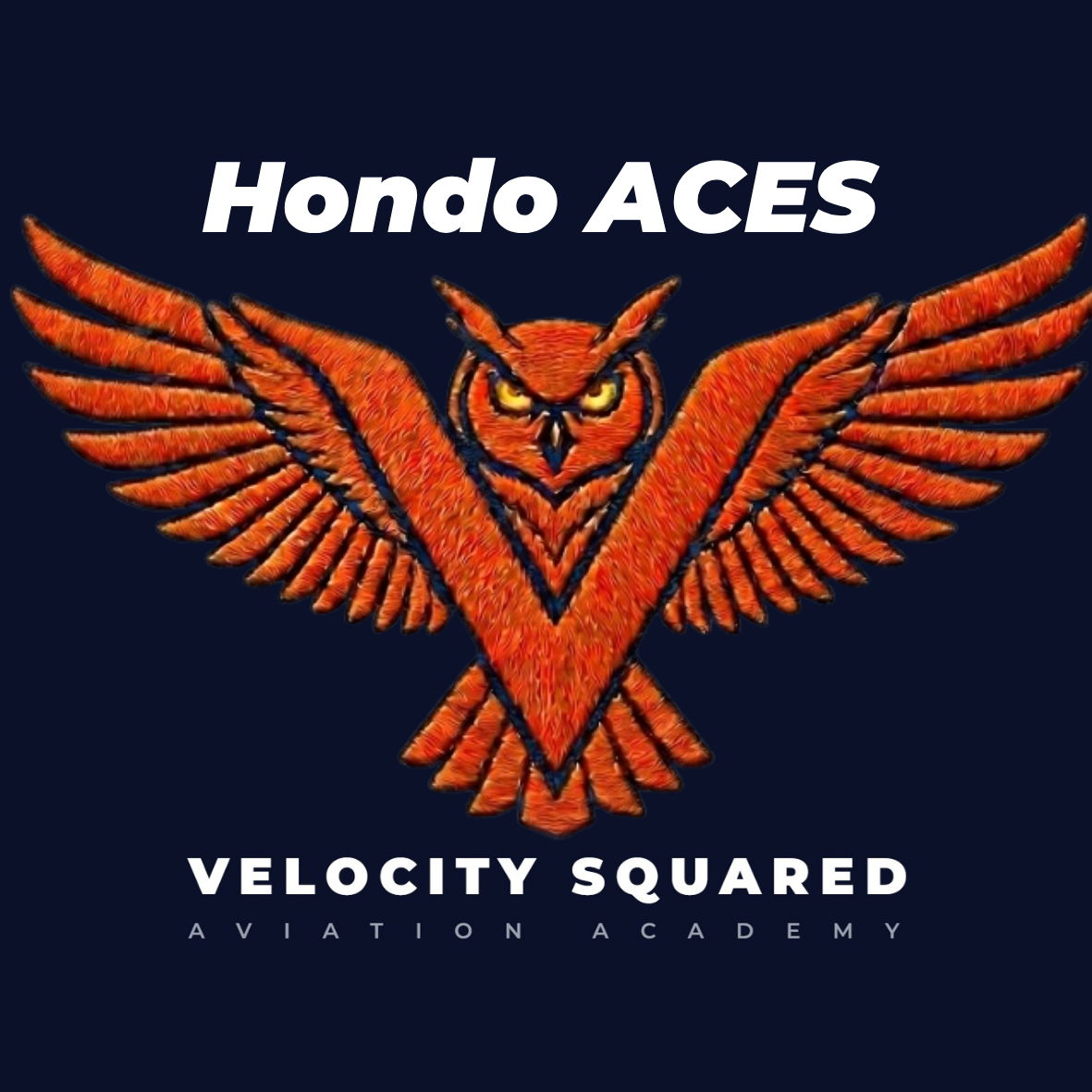 Hondo ISD ACES Squadron Patch